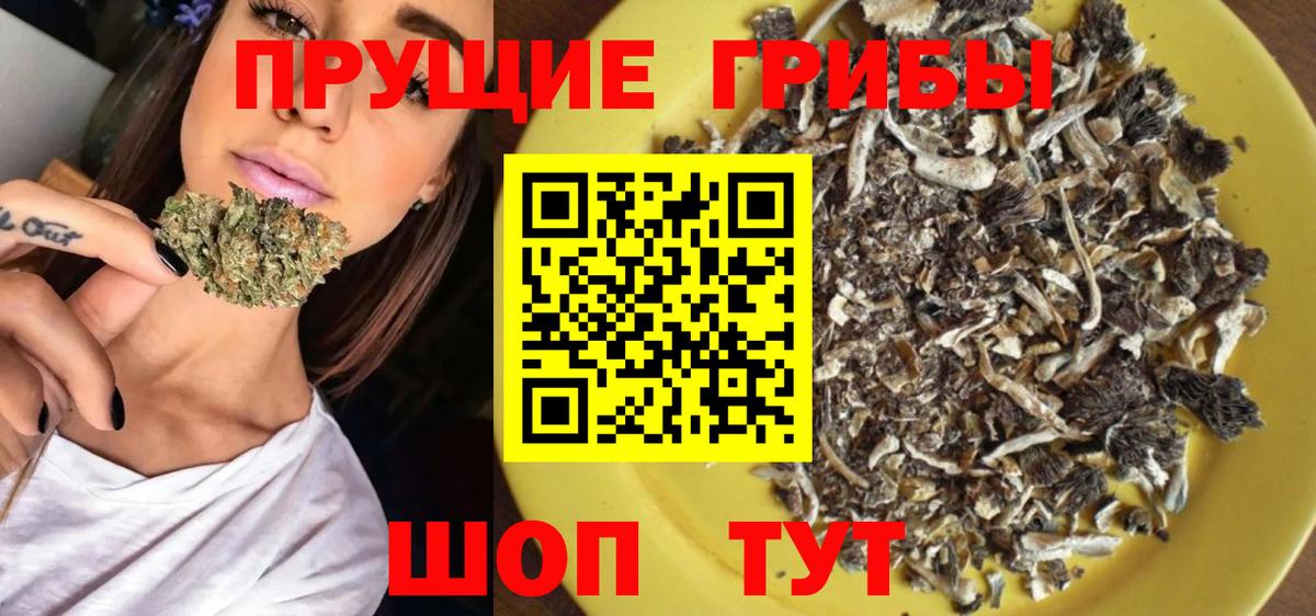 Псилоцибиновые грибы ЛСД Горно-Алтайск